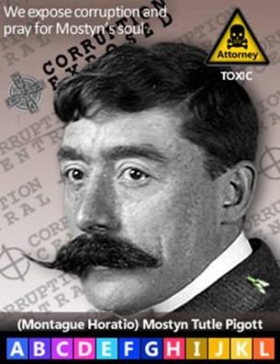 turtle pigott.jpg