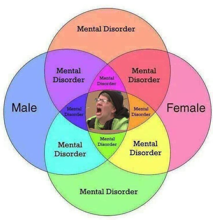 venn liberal democrat.JPG