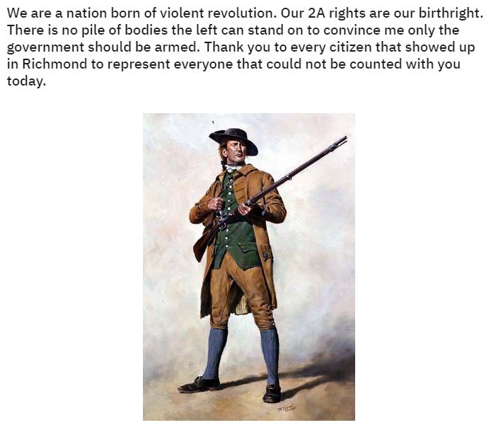 virginia gun control