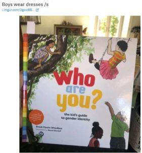 who are you transgender book