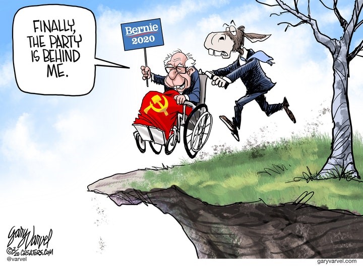bernie 2020