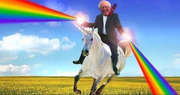bernie unicorn rainbow