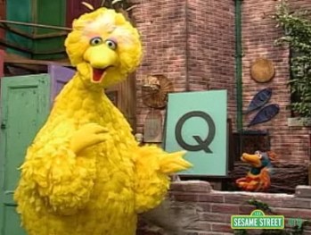 big bird q