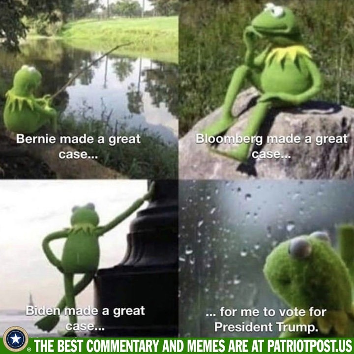 bloomberg bernie sanders frog