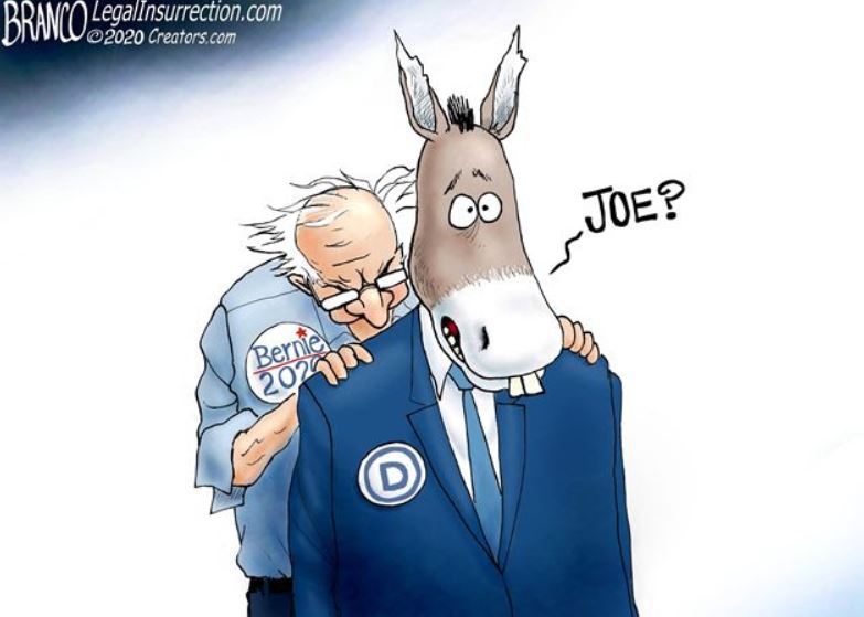 branco biden