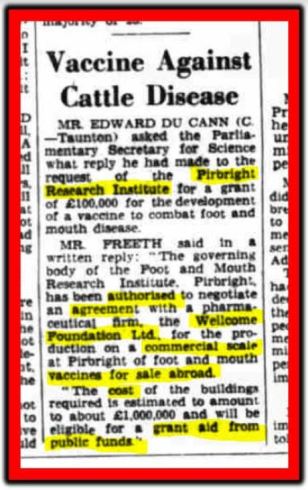 cattle vaccine