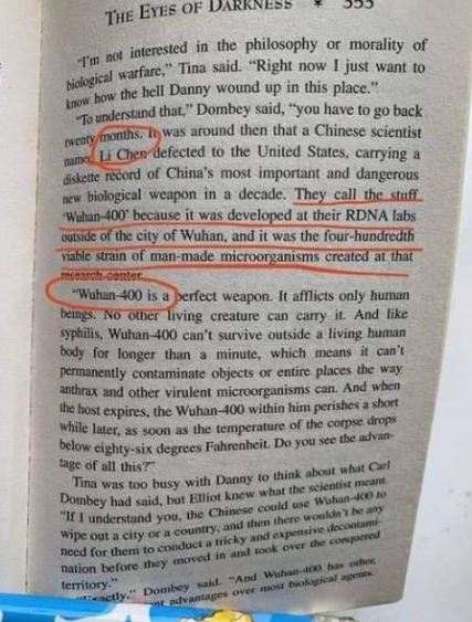 dean koontz book wuhan