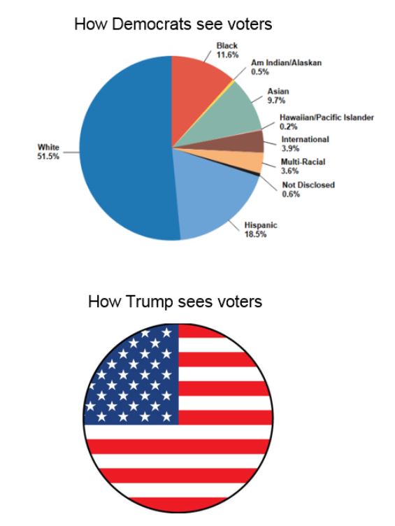democrat voters