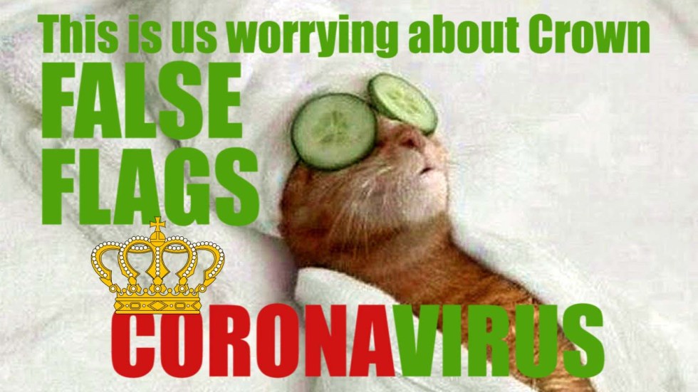 false flag cat coronavirus