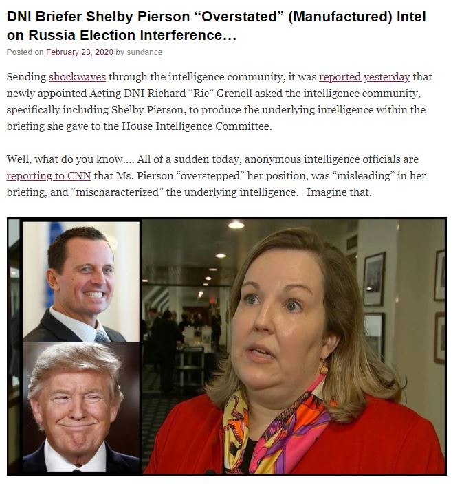 grenell leak russia
