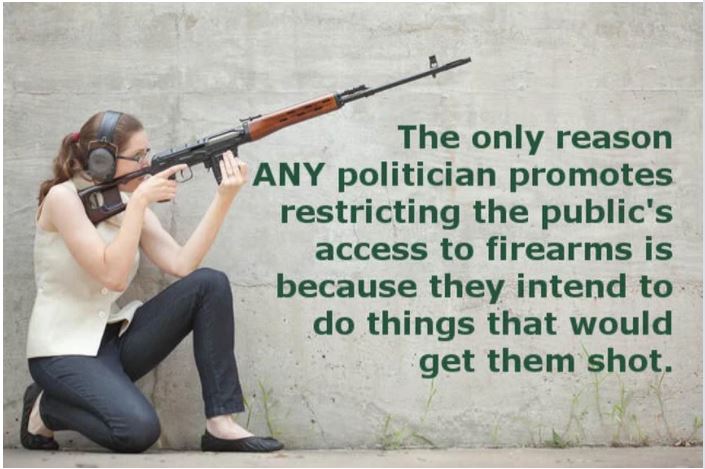 gun control