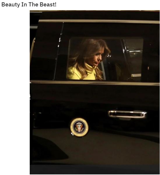 melania beast