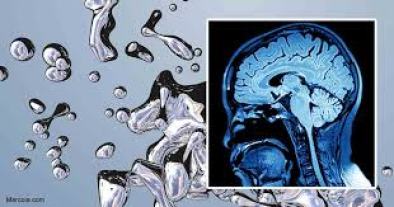 mercury brain