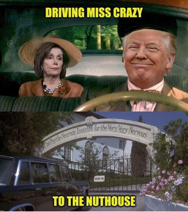 pelosi trump driving