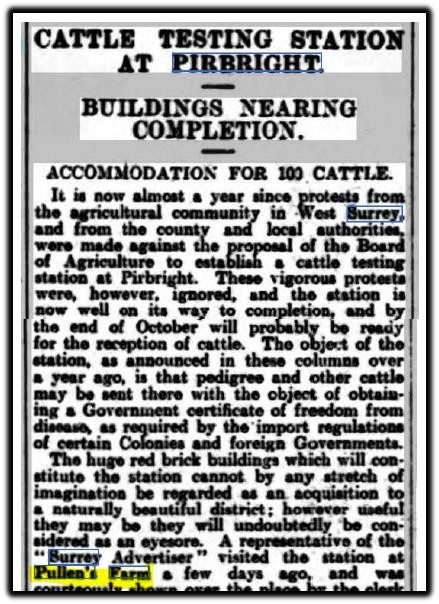 pirbright cattle