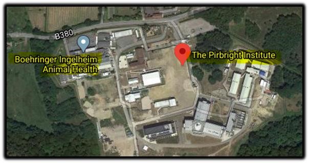 pirbright institute