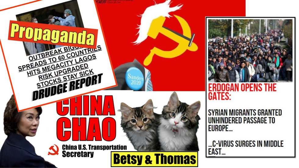 propaganda thumbnail