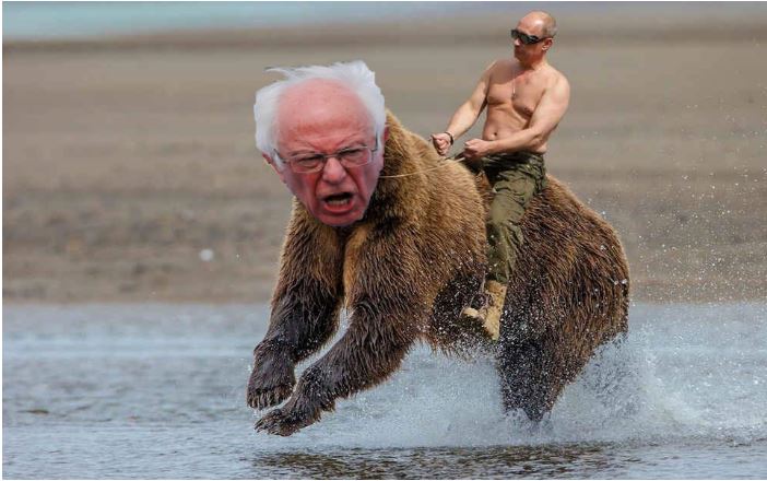 putin sanders bear