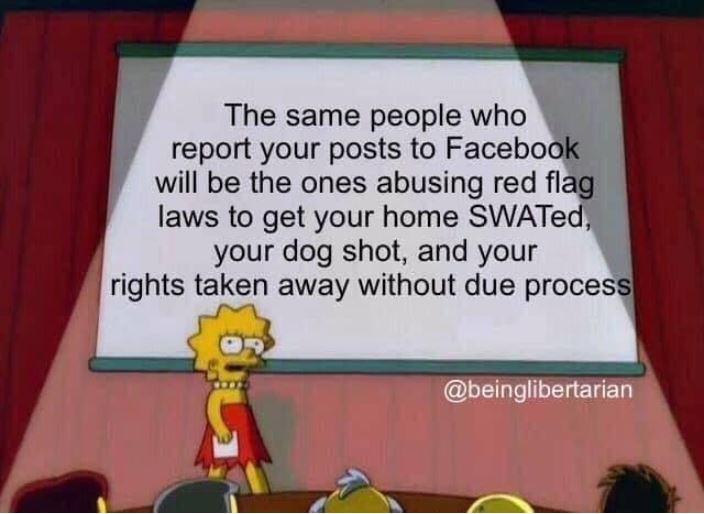 red flag law gun control