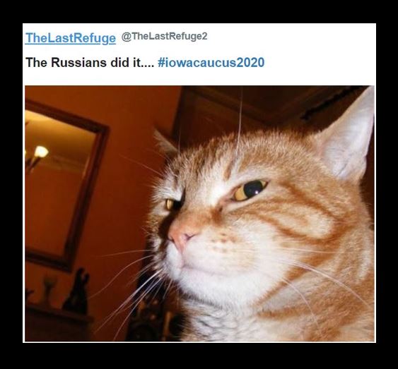 russian cat