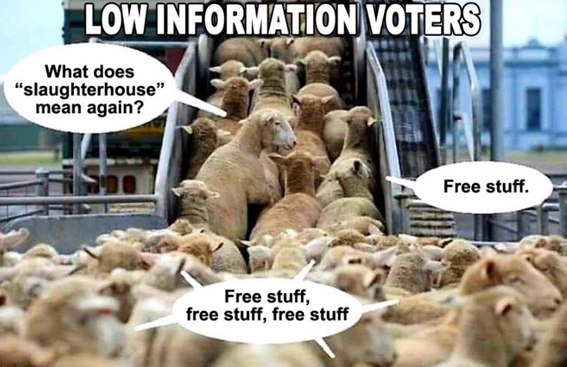 sheep voters
