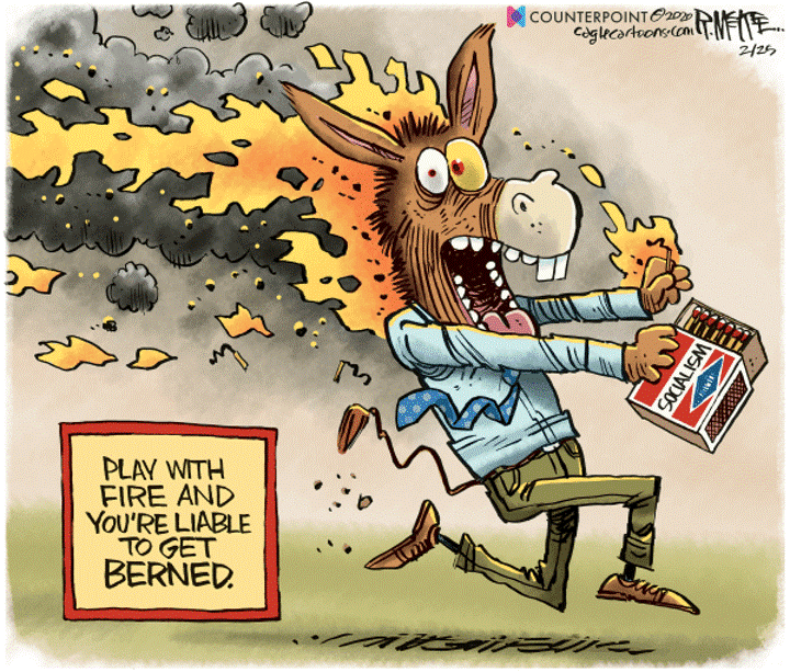 socialism fire bernie sanders