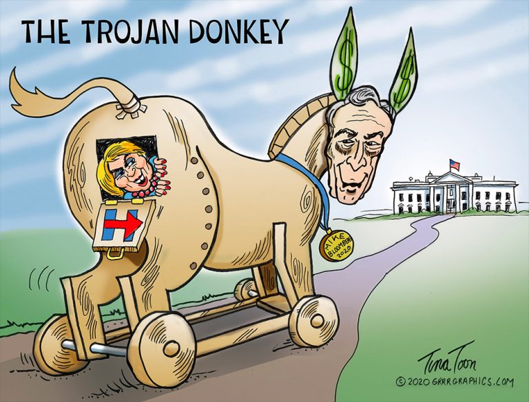 trojan-donkey tina