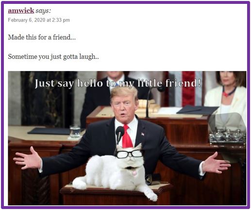 trump cat
