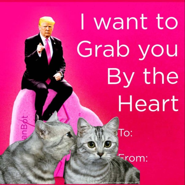 trump grab cat valentine