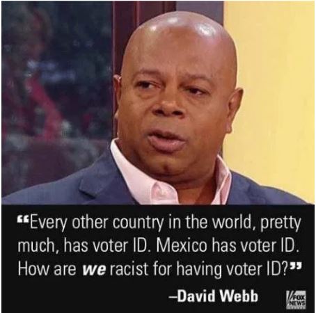 voter id election