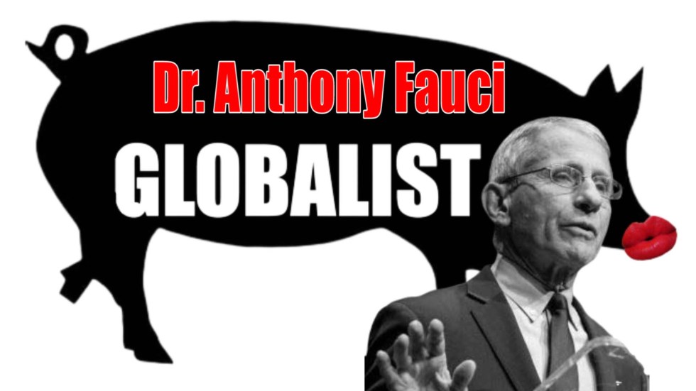 Anthony Fauci globalist pig