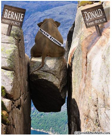 bernie sanders rock hard place