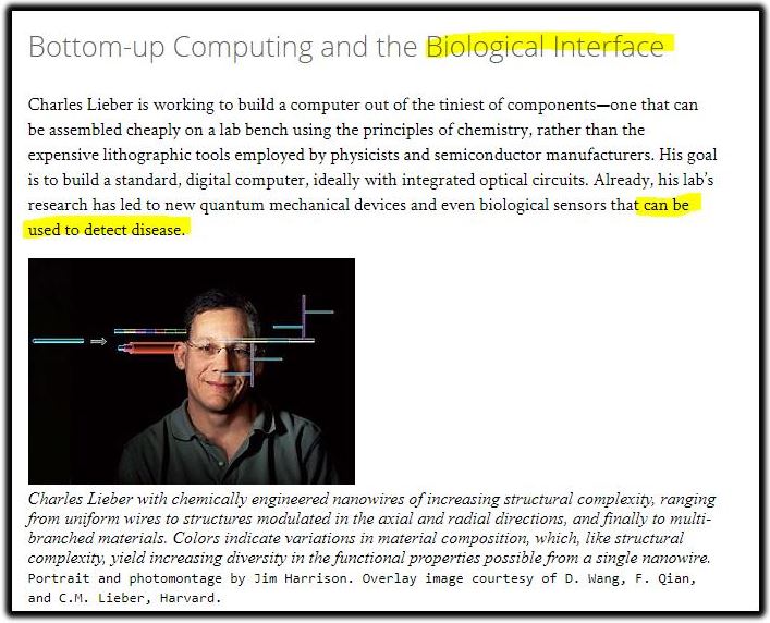 biological interface