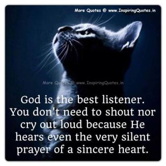 cat prayer