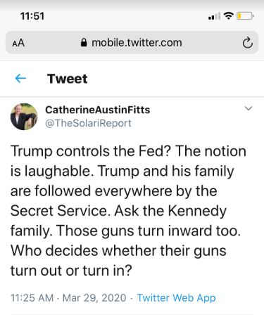 catherine austin fitts