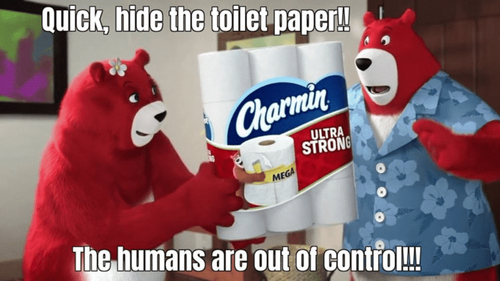 charmin toilet paper