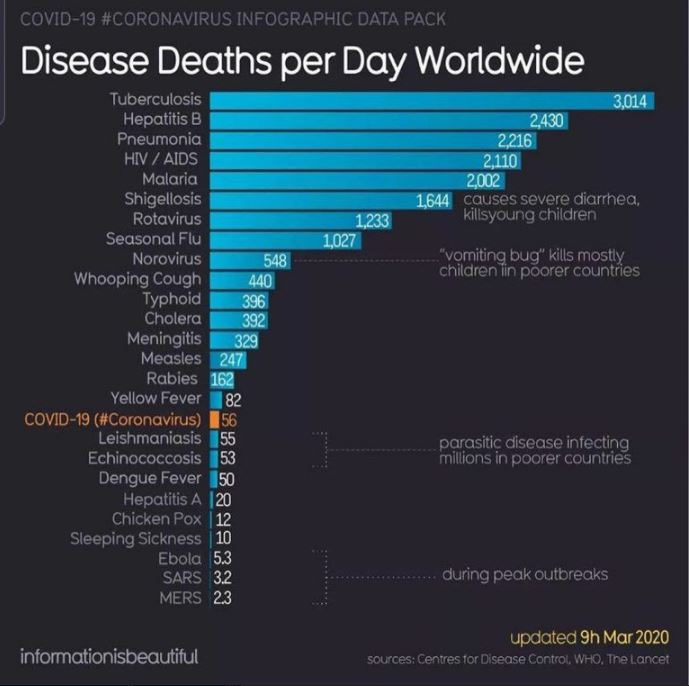 corona virus deaths