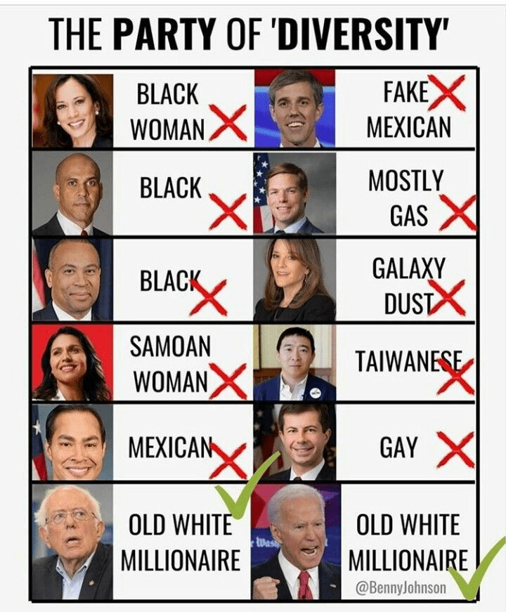 diversity democrats