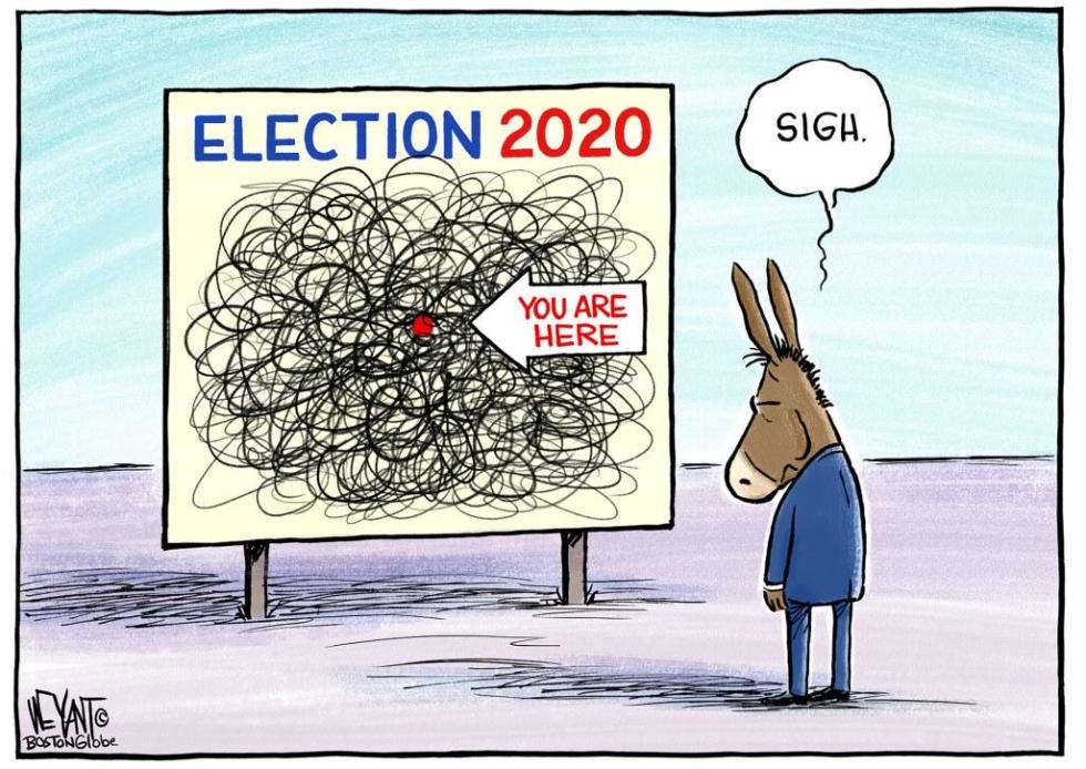election 2020 gordian knot