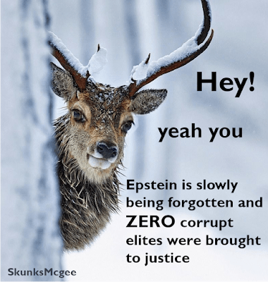 epstein arrest