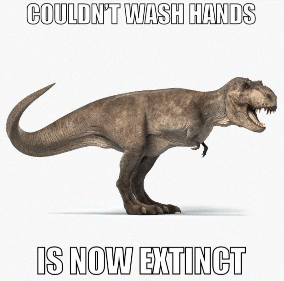 extinct dinosaur coronavirus