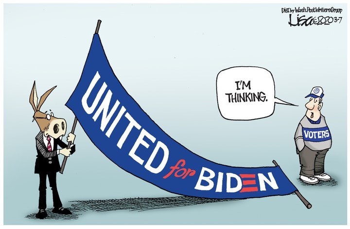 joe biden democrat voter