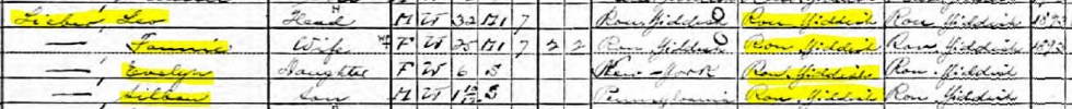 Leo Fannie (ne Cohen) Lieber. (Apr. 23, 1910). 1910 Federal Census, Philadelphia Ward 13, District 0187, Sheeting 19B, U.S. Census, Department of Commerce.