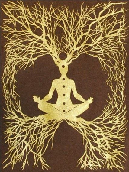 man seated cannabis tree