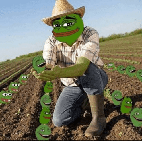 meme pepe farmer