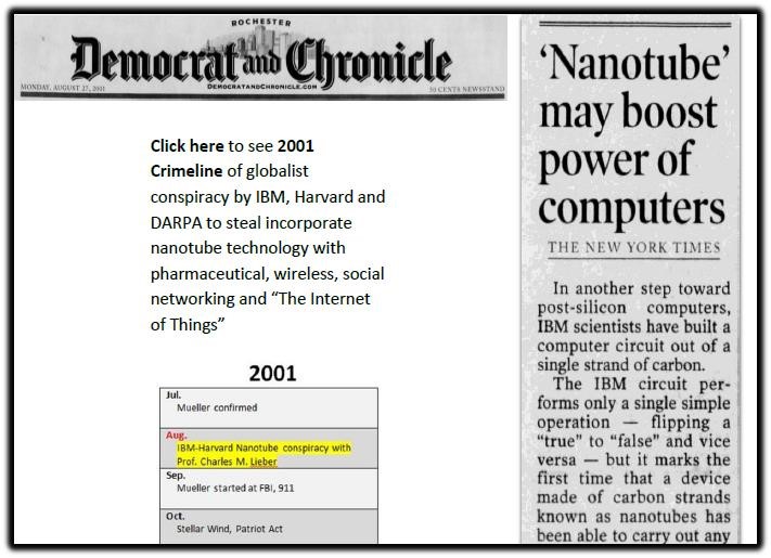 nanotube lieber