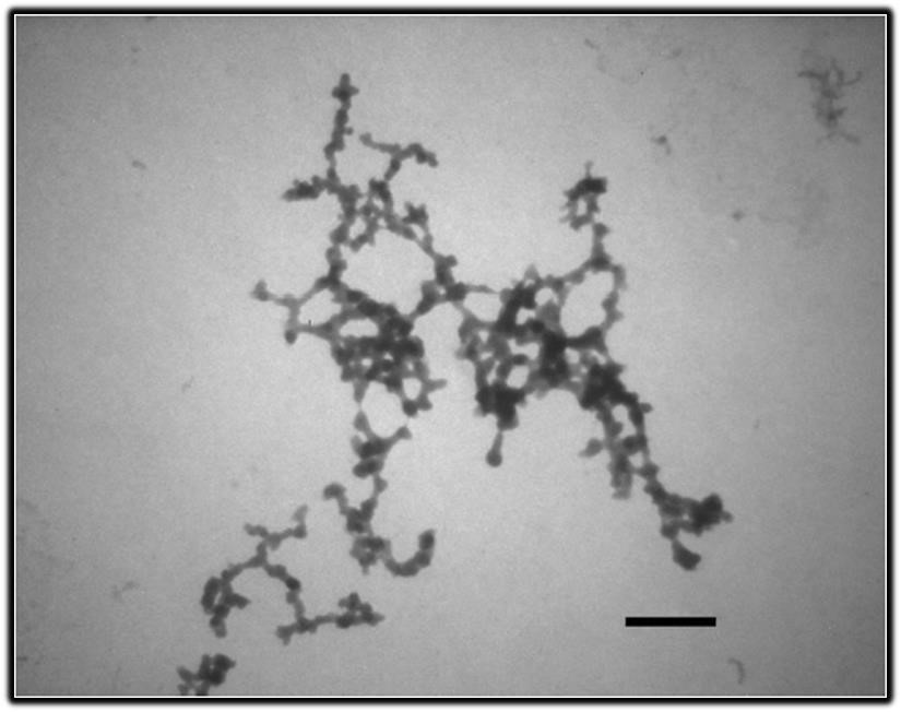 nanotubes