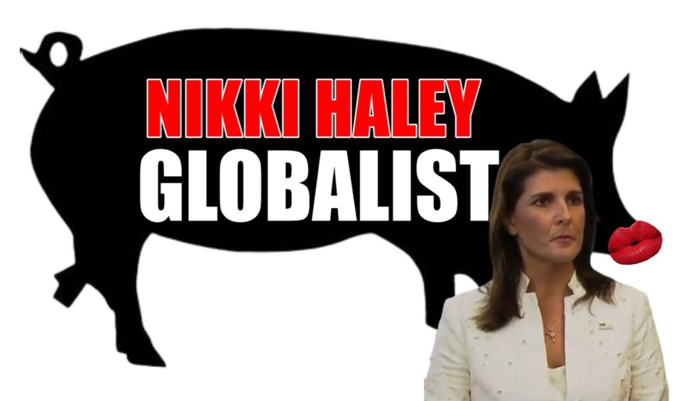 nikki haley globalist pig
