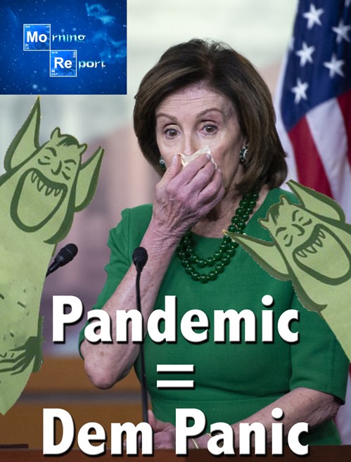 pelosi pandemic
