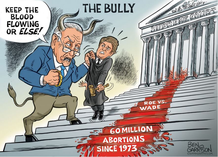 schumer roberts supreme garrison